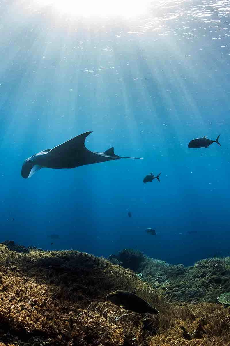 Il Parco Marino di Raja Ampat